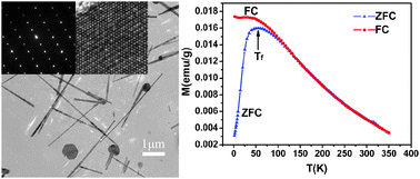 Graphical abstract: Hydrothermal synthesis and magnetic properties of single-crystalline BiFeO3 nanowires