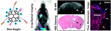 Graphical abstract: Imaging brain tumor by dendrimer-based optical/paramagnetic nanoprobe across the blood-brain barrier