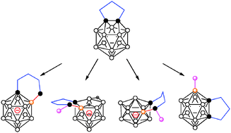 Graphical abstract: Selective cage boron/carbon extrusion reaction of 13-vertex carborane μ-1,2-(CH2)3–1,2-C2B11H11: formation of nido-CB10, closo-CB10, and closo-C2B10 species