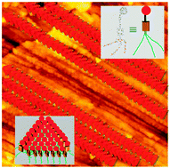 Graphical abstract: Large scale assembly of ordered donor–acceptor heterojunction molecular wires using the Langmuir–Blodgett technique