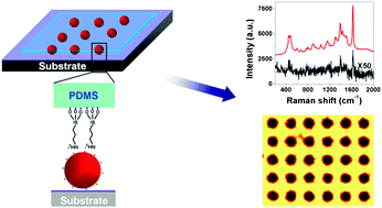 Graphical abstract: Nanoparticle-coated PDMS elastomers for enhancement of Raman scattering