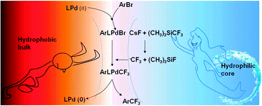 Graphical abstract: A novel catalytic process for trifluoromethylation of bromoaromatic compounds