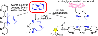 Graphical abstract: (E,E)-1,5-Cyclooctadiene: a small and fast click-chemistry multitalent