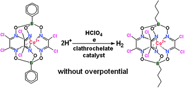 Graphical abstract: Efficient electrocatalytic hydrogen production from H+ ions using specially designed boron-capped cobalt clathrochelates