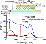 Graphical abstract: Enhanced light harvesting in mesoporous TiO2/P3HT hybrid solar cells using a porphyrin dye