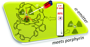 Graphical abstract: Unprecedented incorporation of α-emitter radioisotope 213Bi into porphyrin chelates with reference to a daughter isotope mediated assistance mechanism