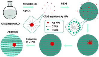 Graphical abstract: A facile one-pot synthesis of uniform core–shell silver nanoparticle@mesoporous silica nanospheres