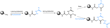 Graphical abstract: Acyl hydrazides as peptoid sub-monomers