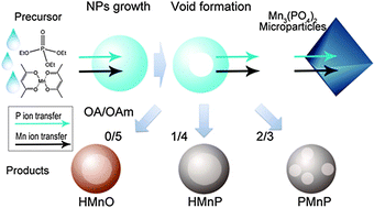 Graphical abstract: One-pot synthesis of hollow/porous Mn-based nanoparticlesvia a controlled ion transfer process
