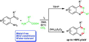 Graphical abstract: Metal-free intramolecular oxidative decarboxylative amination of primary α-amino acids with product selectivity