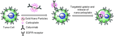 Graphical abstract: A simple synthesis of a targeted drug delivery system with enhanced cytotoxicity