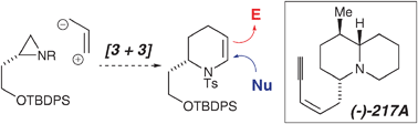 Graphical abstract: Stereoselective approaches to 2,3,6-trisubstituted piperidines. An enantiospecific synthesis of quinolizidine (−)-217A