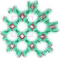 Graphical abstract: Amphiphilic nanotubes in the crystal structure of a biosurfactant protein hydrophobin HFBII
