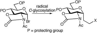 Graphical abstract: Radical C-glycosylation reaction of pyranosides with the 2,3-trans carbamate group