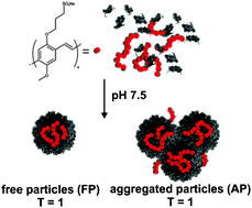 Graphical abstract: Relative size selection of a conjugated polyelectrolyte in virus-like protein structures