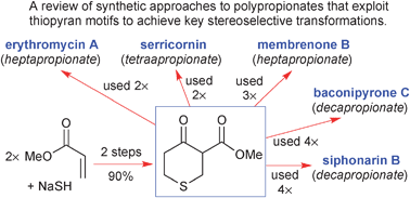 Graphical abstract: The thiopyran route to polypropionates