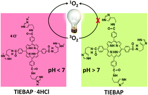 Graphical abstract: Imidazole-modified porphyrin as a pH-responsive sensitizer for cancer photodynamic therapy