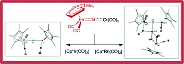 Graphical abstract: Borido complexes via intermetallic metalloborylene transfer