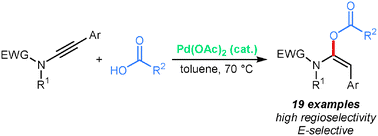 Graphical abstract: Palladium-catalyzed hydroacyloxylation of ynamides