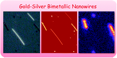 Graphical abstract: Gold–silver bimetallic porous nanowires for surface-enhanced Raman scattering