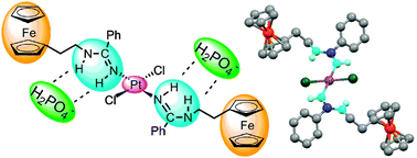 Graphical abstract: Pt(ii)-activated coupling of aminoethylferrocene with benzonitrile. A facile access route to a new redox-active bis(ferrocenyl-amidine) anion sensor