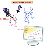 Graphical abstract: Unsymmetrical β-cyclodextrin-conjugated silicon(iv) phthalocyanines as highly potent photosensitisers for photodynamic therapy
