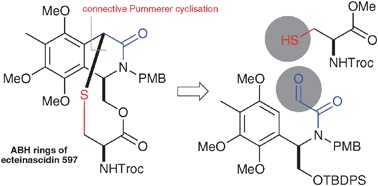 Graphical abstract: Synthesis of the ABH rings of ecteinascidin 597 using a connective Pummerer-type cyclisation