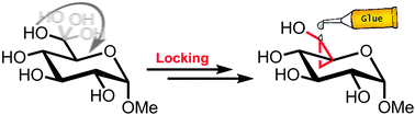 Graphical abstract: Reducing the conformational flexibility of carbohydrates: locking the 6-hydroxyl group by cyclopropanes