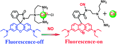Graphical abstract: A copper(ii) rhodamine complex with a tripodal ligand as a highly selective fluorescence imaging agent for nitric oxide