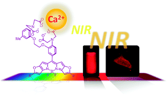 Graphical abstract: A near-infrared fluorescent calcium probe: a new tool for intracellular multicolour Ca2+ imaging