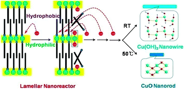 Graphical abstract: Inorganic–organic chain assemblies as lamellar nanoreactors for growing one-dimensional Cu(OH)2 and CuO nanostructures