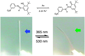Graphical abstract: Photomechanical bending of salicylideneaniline crystals
