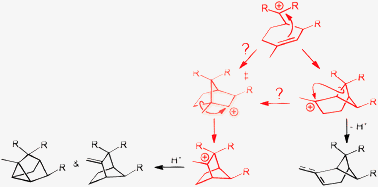 Graphical abstract: Theoretical calculations on carbocations involved in the biosynthesis of bergamotenes and related terpenes—the same and not the same