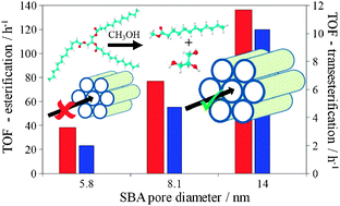 Graphical abstract: Pore-expanded SBA-15 sulfonic acid silicas for biodiesel synthesis