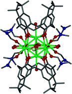 Graphical abstract: Calix[4]arene-supported rare earth octahedra