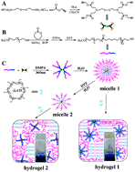 Graphical abstract: Bioreducible micelles and hydrogels with tunable properties from multi-armed biodegradable copolymers
