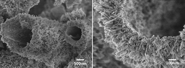 Graphical abstract: Hierarchically structured nanocrystalline hydroxyapatite assembled hollow fibers as a promising protein delivery system