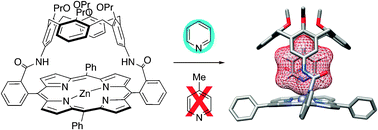 Graphical abstract: Highly shape-selective guest encapsulation in the precisely defined cavity of a calix[4]arene-capped metalloporphyrin