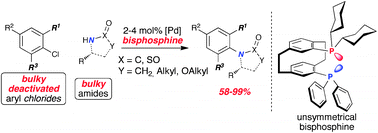 Graphical abstract: Coupling of ortho-substituted aryl chlorides with bulky amides