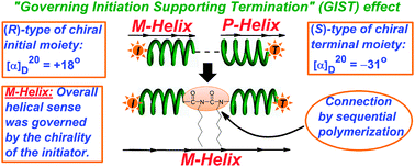 Graphical abstract: “Governing initiation-supporting termination” in chiral poly(n-hexyl isocyanate)