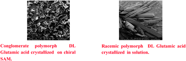 Graphical abstract: Conglomerate crystallization on self-assembled monolayers