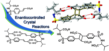 Graphical abstract: Valine sulfonamidecinnamic acid asymmetric crystal reactions