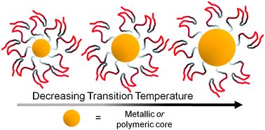 Graphical abstract: The critical importance of size on thermoresponsive nanoparticle transition temperatures: gold and micelle-based polymer nanoparticles