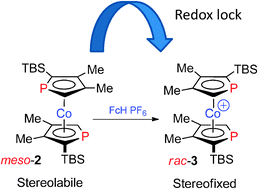 Graphical abstract: Redox-fixable manipulation of planar chirality in late transition metal sandwich compounds; a 1,1′-diphosphacobaltocene/1,1′-diphosphacobaltocenium salt couple
