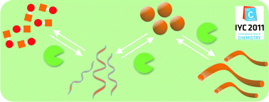 Graphical abstract: Enzyme-directed assembly and manipulation of organic nanomaterials