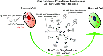 Graphical abstract: Thermosensitive dendrimer formulation for drug delivery at physiologically relevant temperatures