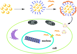 Graphical abstract: Functional MnO nanoclusters for efficient siRNA delivery
