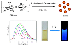 Graphical abstract: One-step synthesis of amino-functionalized fluorescent carbon nanoparticles by hydrothermal carbonization of chitosan