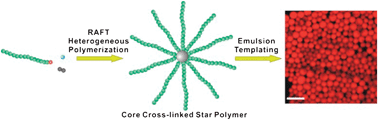 Graphical abstract: Efficient and versatile synthesis of star polymers in water and their use as emulsifiers