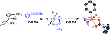 Graphical abstract: C–H and C–O oxidative addition in reactions of aryl carboxylates with a PNP pincer-ligated Rh(i) fragment